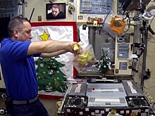 Оливье в условиях невесомости: как космонавты готовили главный новогодний салат на МКС