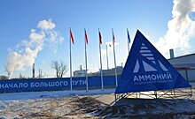 Новая надежда: арбитражный суд утвердил мирное расставание "Аммония" и "ВЭБ.РФ"