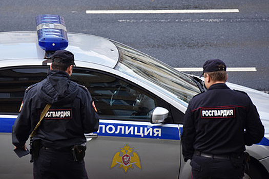 Названо число пойманных в Москве лидеров и членов ОПГ