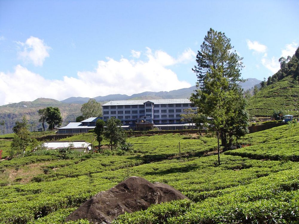 Чайная фабрика Маквудс, Шри-Ланка, Азия