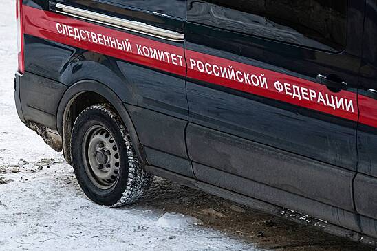 Стало известно о судимости родителей отравившихся в Красноярском крае детей