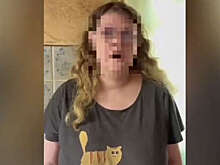 Во Владимирской области экс-учительницу уличили в создании мошеннического сайта