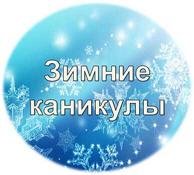 Зимние каникулы в воронежских школах могут начаться в разные даты