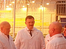 В Волгоградской области реализуются крупные овощеводческие проекты