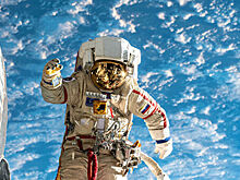 Опубликовано видео приземления экипажа МКС