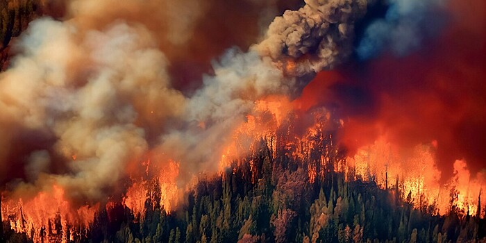 Аргентину охватили лесные пожары: огонь добрался до жилых домов