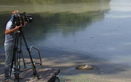 Ягудин исполнил танец живота