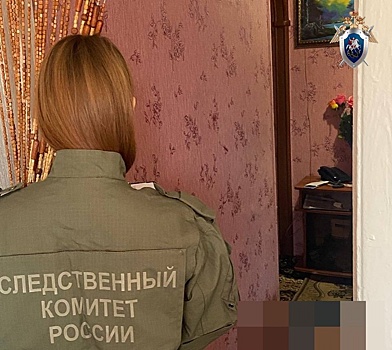 Нижегородец подозревается в жестоком убийстве престарелой матери