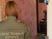 Нижегородец подозревается в жестоком убийстве престарелой матери