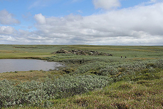 Ученые отправились искать озера-воронки на Ямале