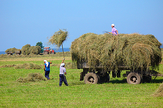 Кредитные кооперативы не переведут на международную отчетность до 2021 года