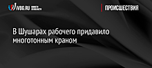 В Шушарах рабочего придавило многотонным краном