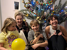 Ирина Розанова призналась, как относится к хейтерам