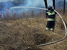 Режим ЧС экстренно ввели в Курганской области