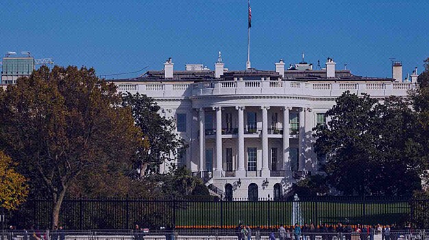 Представители новых регионов РФ и Крыма рассказали, что думают о мирном плане Трампа