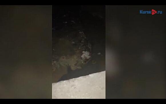 Жители Заводской утопают в...