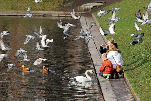 Вильфанд: температура в Сибири превысит климатическую норму на 6–8 градусов