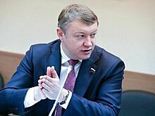 Депутат Марков объяснил важность инвентаризации городских лесов