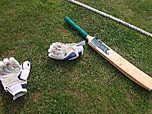 Индийское супермошенничество: россияне лишились денег из-за фейкового турнира по крикету