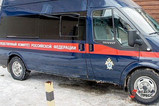 Бастрыкин поручил предоставить доклад по делу о трагедии на шахте в Свердловской области