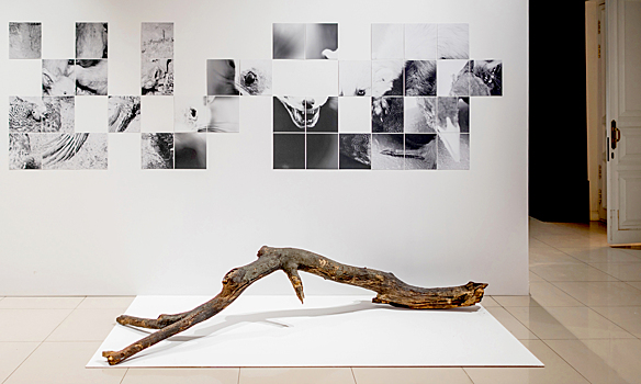 Красноярская премия сфокусировалась на кинетике и уличном искусстве