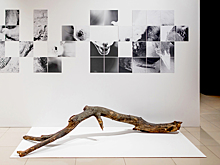 Красноярская премия сфокусировалась на кинетике и уличном искусстве