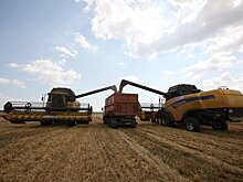 Урожай зерновых может превысить 19 миллионов тонн в 2017 году - МСХ