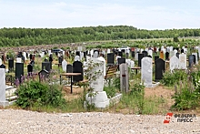На Червишевском кладбище в Тюмени установят памятный знак в честь погибших на СВО