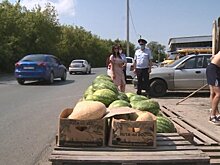 В Пензе наказали предпринимателей, незаконно торговавших арбузами