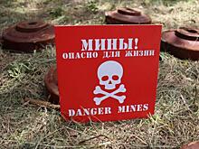 В Курской области сапёры очистили от мин свыше 105 тысяч гектаров
