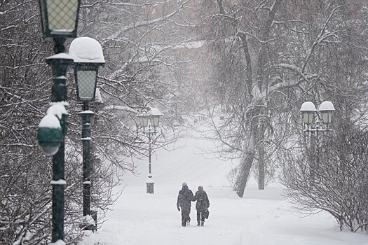 Жители Подмосковья вынуждены идти пешком из-за снега