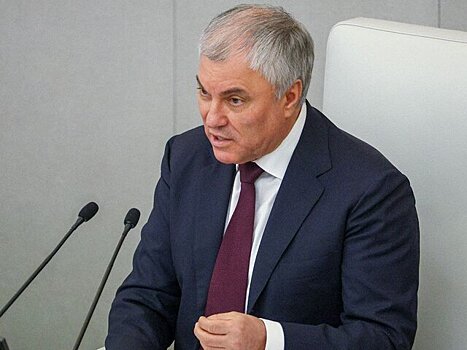 Володин раскритиковал противников закона о защите людей от животных