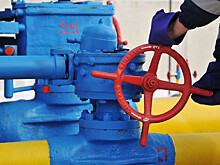 Украина запросила $1,5 млрд у Экспортно-импортного банка США на закупку газа