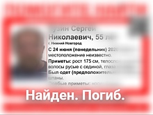 Сергей Кузин, пропавший в Нижнем Новгороде полгода назад, найден мертвым