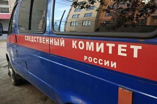 Жительница Кемеровской области обвиняется в убийстве новорожденного