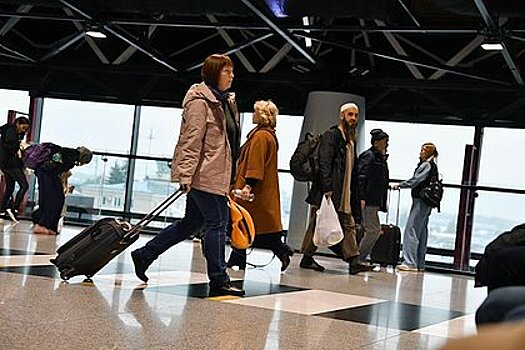 В Шереметьево разъяснили предложение о новых правилах для ручной клади