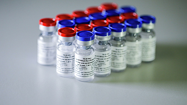 В Гвинею доставили партию вакцины "Спутник V"