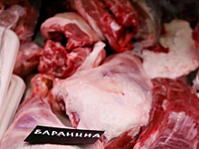 На Северном Кавказе выросло производство баранины