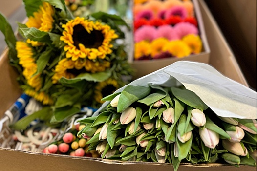 На Урал привезли цветов на 450 миллионов рублей