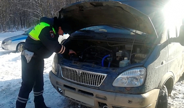 Воронежские сотрудники ДПС помогли водителю «ГАЗели», у которого закончился бензин