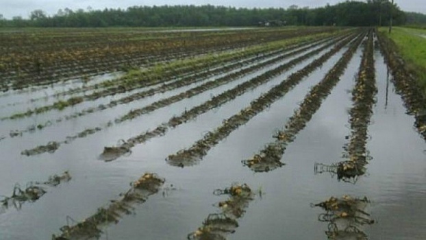 В районах Кировской области введен режим ЧС