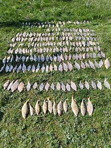 В Ростовской области браконьеры выловили рыбы на 100 тыс. рублей