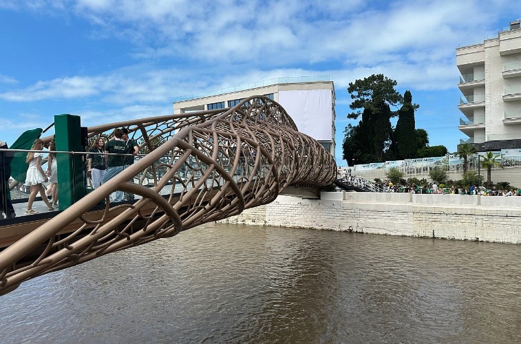 Новый пешеходный мост «Волшебный лист» за 500 млн рублей открыли в Сочи