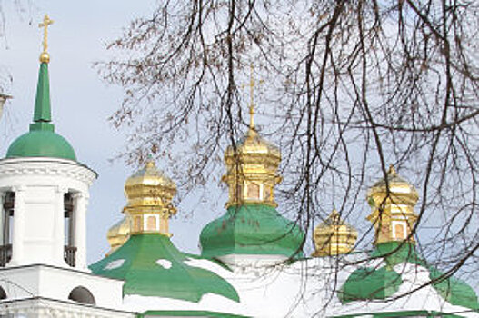 Каноническая православная церковь терпит притеснения на Украине