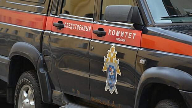 В пожаре в Брянской области погибли двое детей