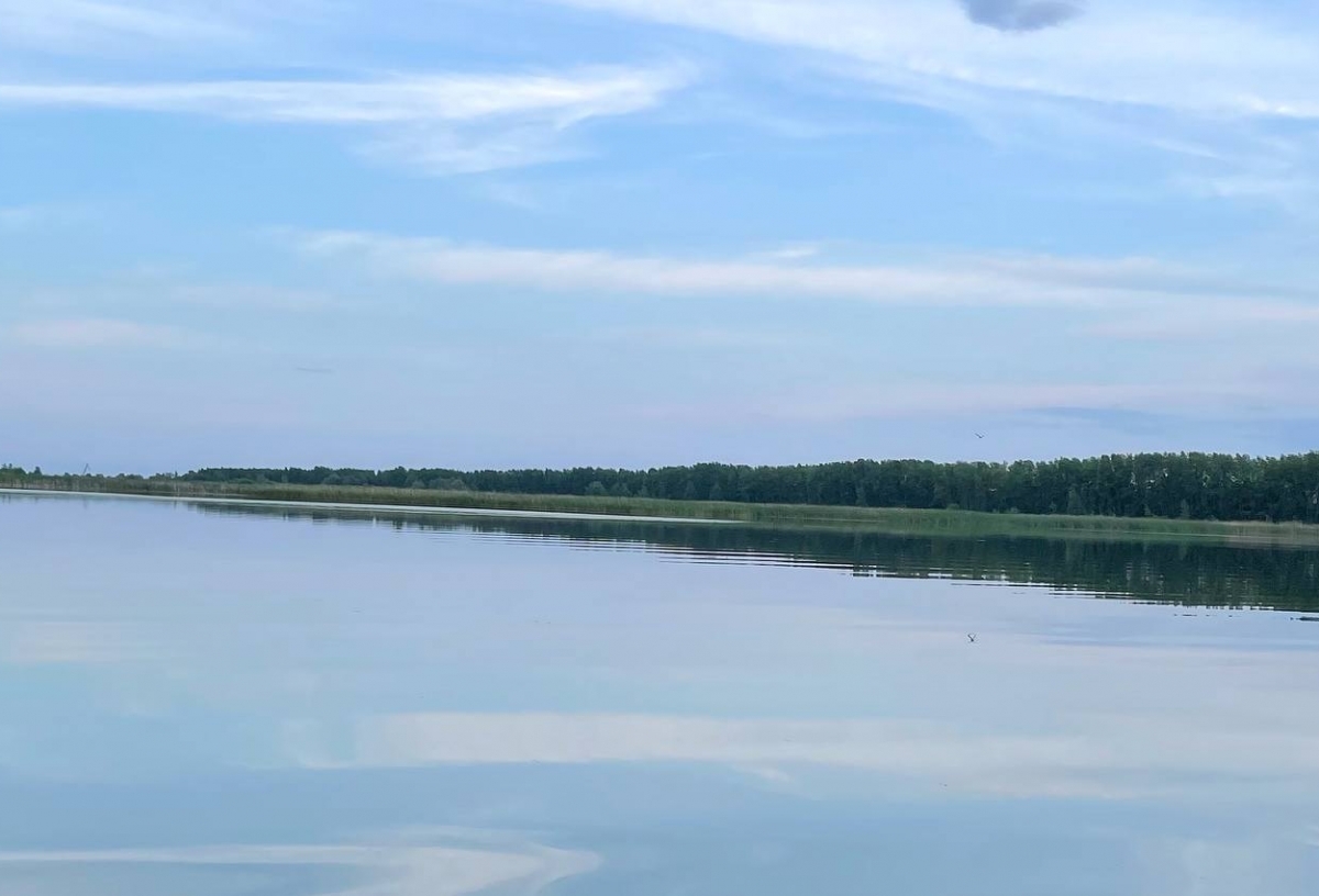 На берегу озера Старица под Омском хотят создать новую пляжную зону за 3,5 миллиона