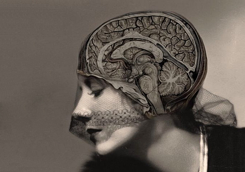 Как нас обманывает наш мозг
