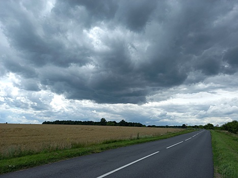 В Курскую область 17 июня придет северный циклон
