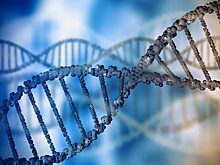 Кровные узы: актеры-родственники