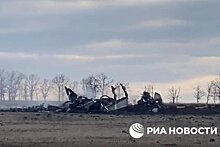 Появилось видео с места крушения сбитого над ДНР самолета